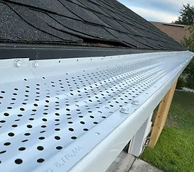 Gutter guard on a house